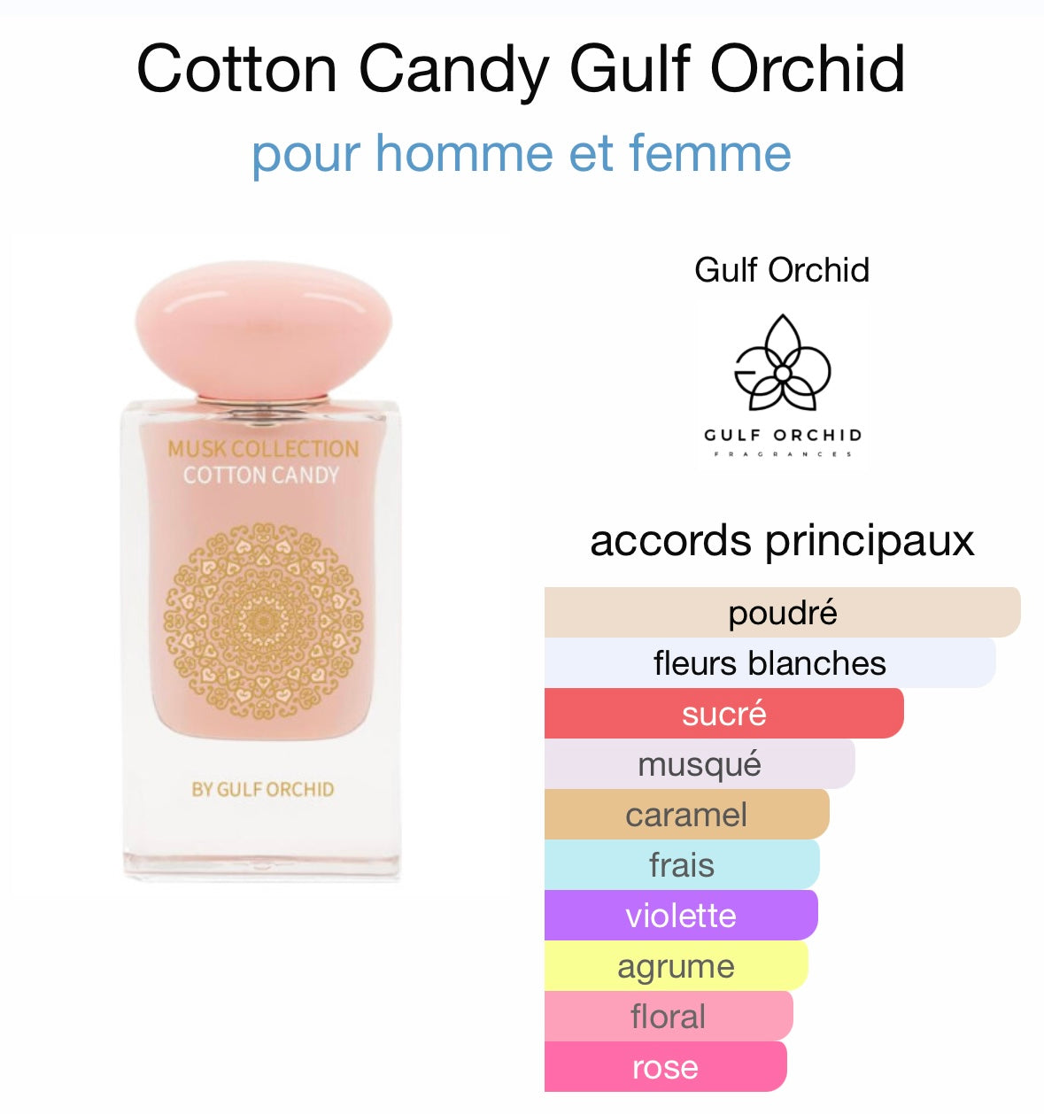 Cotton Candy by Gulf Orchid