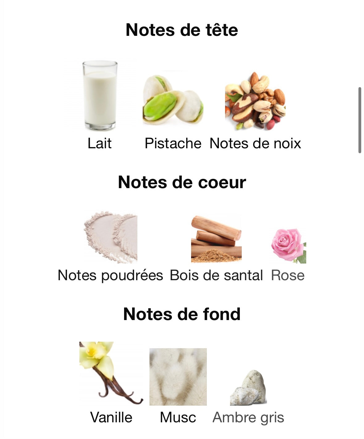 Brume Pistachio
