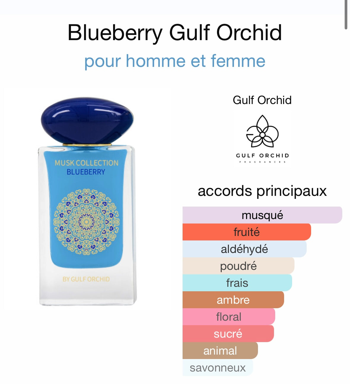 Blueberry by Gulf Orchid