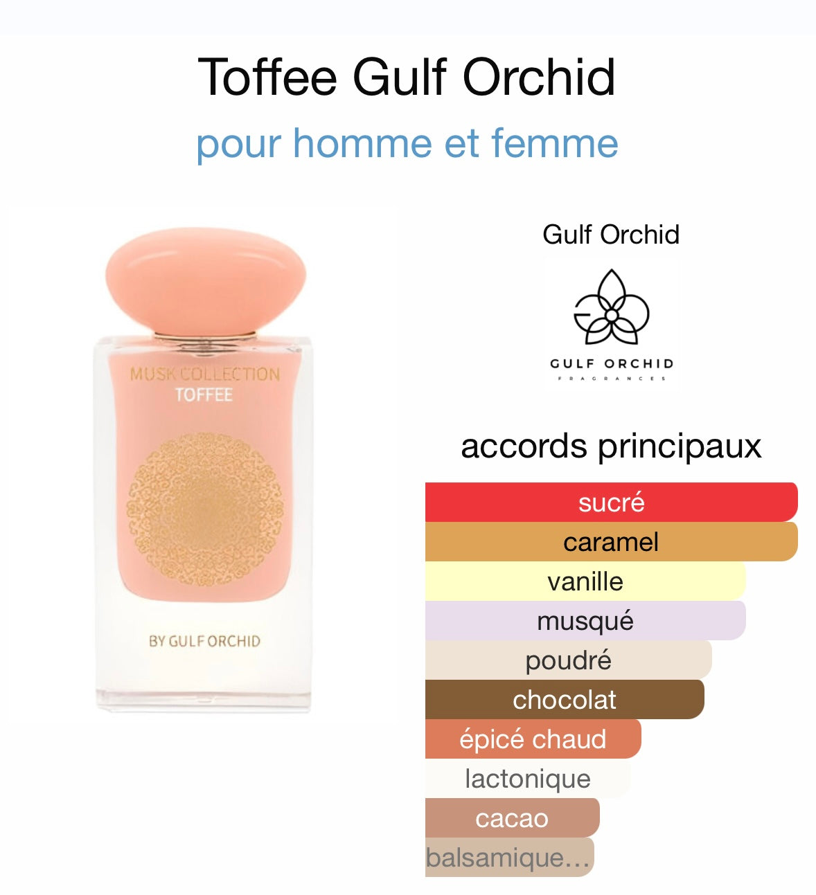 Toffee by Gulf Orchid