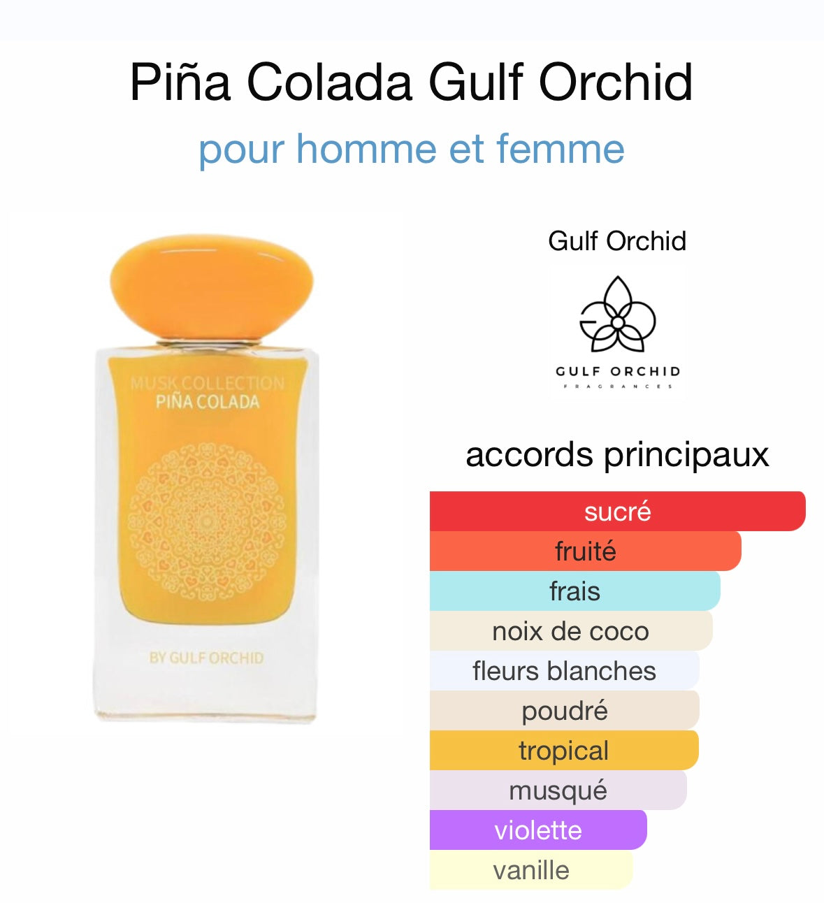 Piña Colada by Gulf Orchid