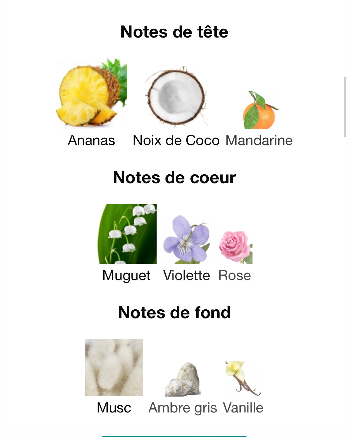 Brume Piña Colada