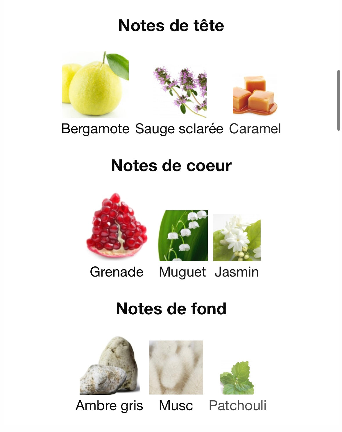 Brume Pomegranate