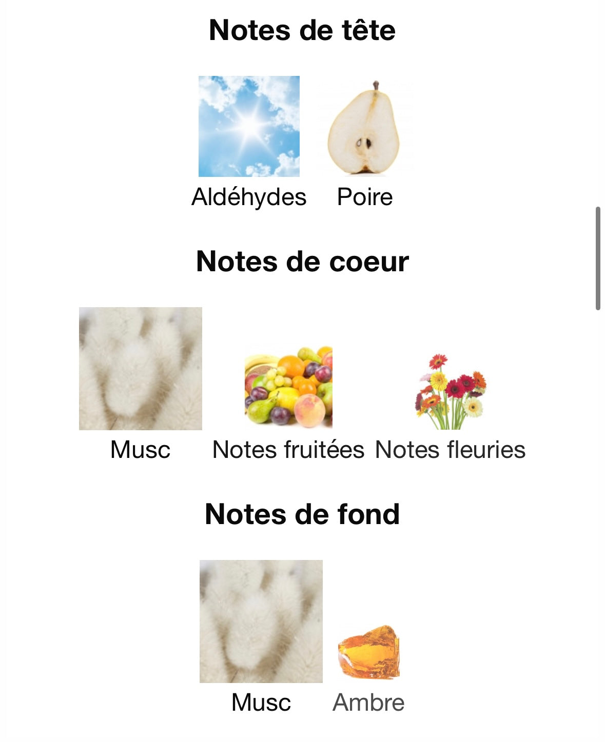 Brume Tropical Fruits