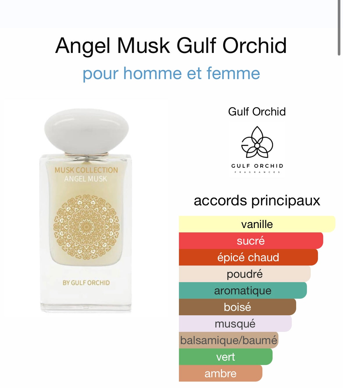 Angel musk by Gulf Orchid