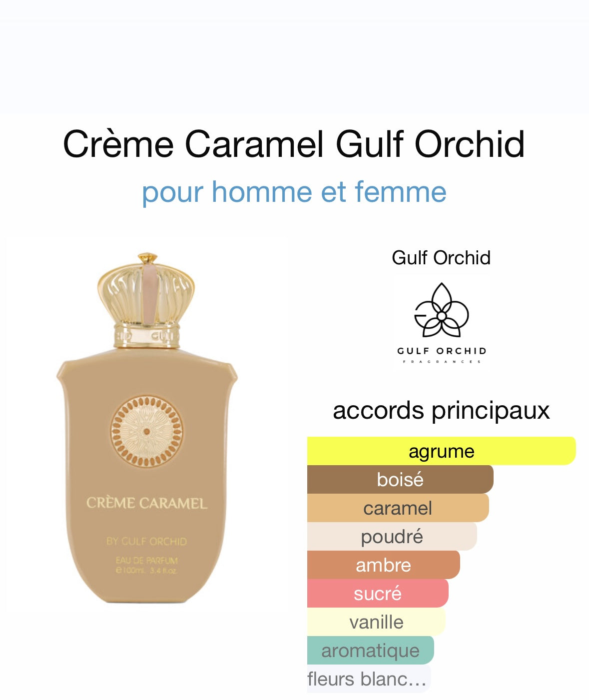 Crème caramel by Gulf Orchid